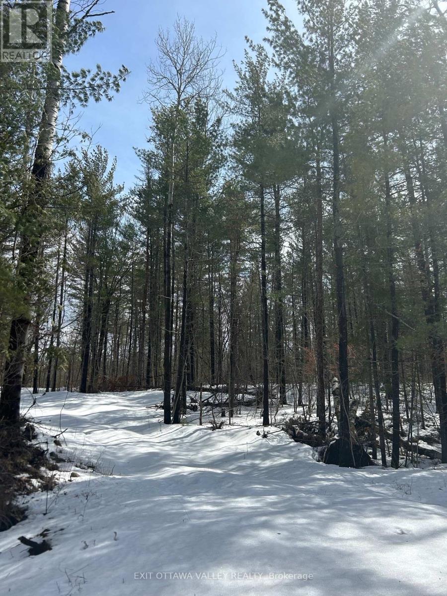 992 Mcgrath Road, Bonnechere Valley, ON