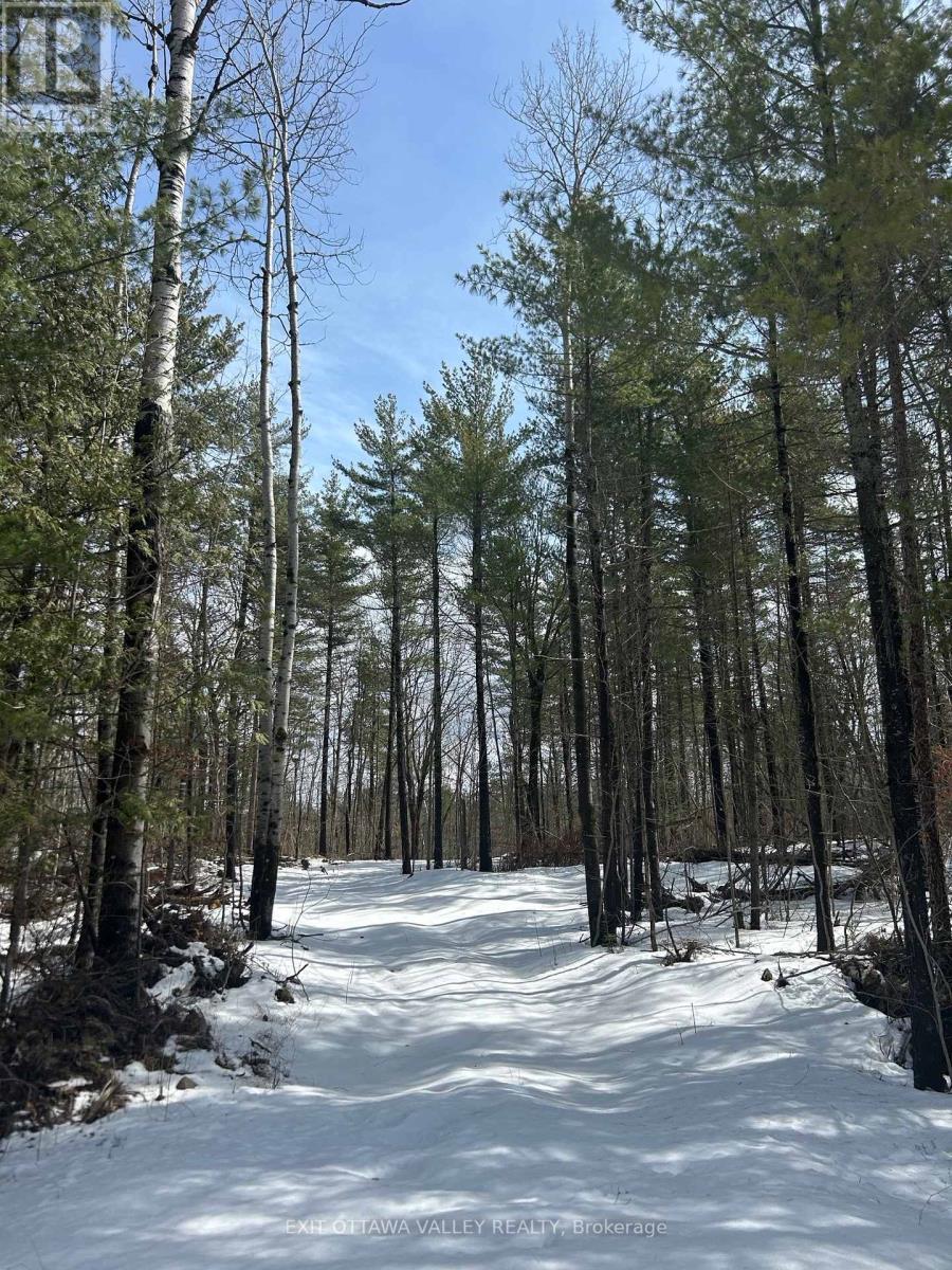 992 Mcgrath Road, Bonnechere Valley, ON