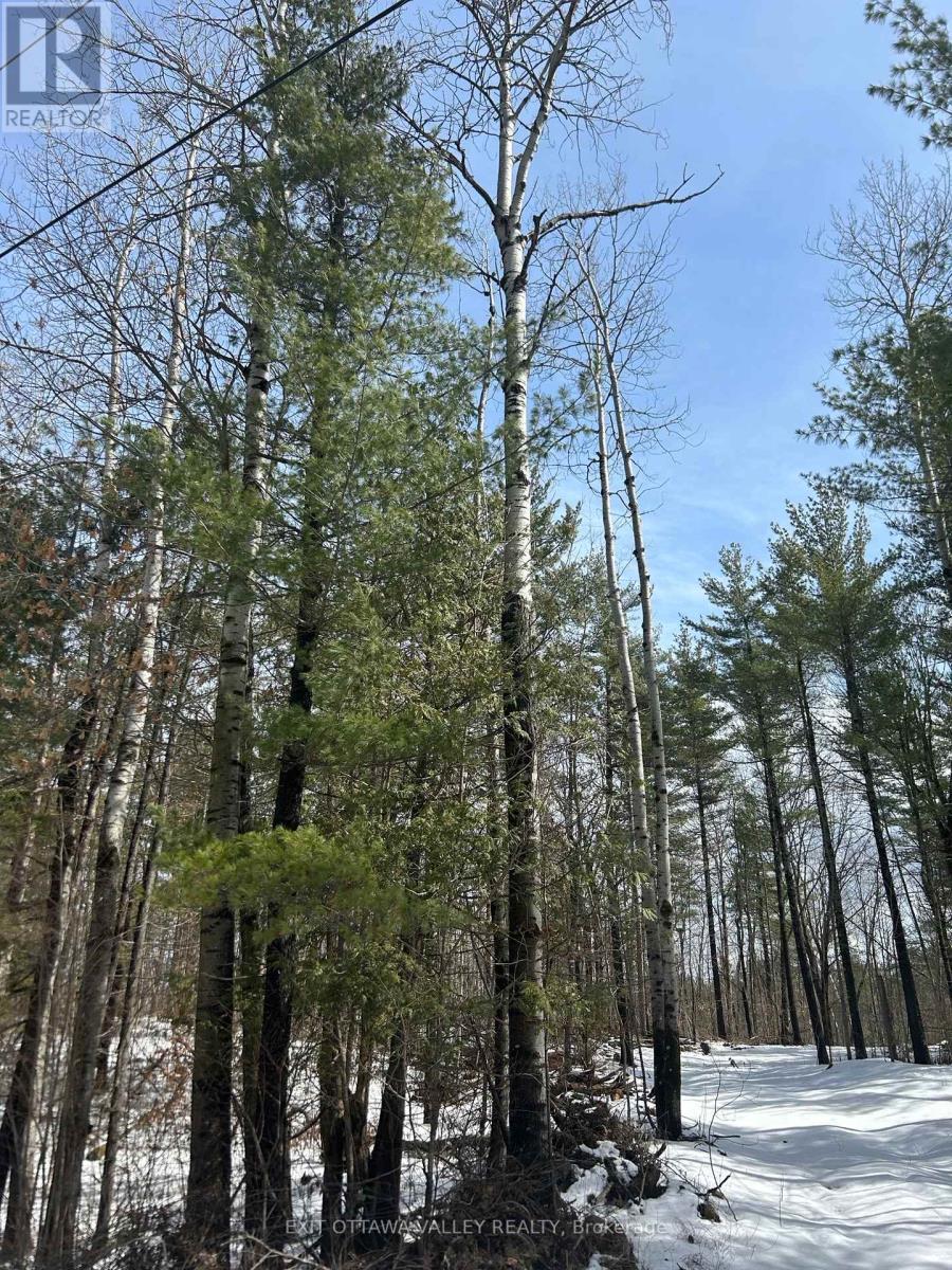 992 Mcgrath Road, Bonnechere Valley, ON