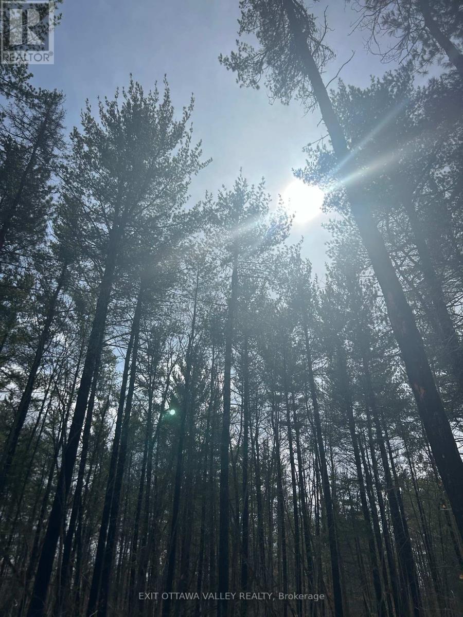 992 Mcgrath Road, Bonnechere Valley, ON