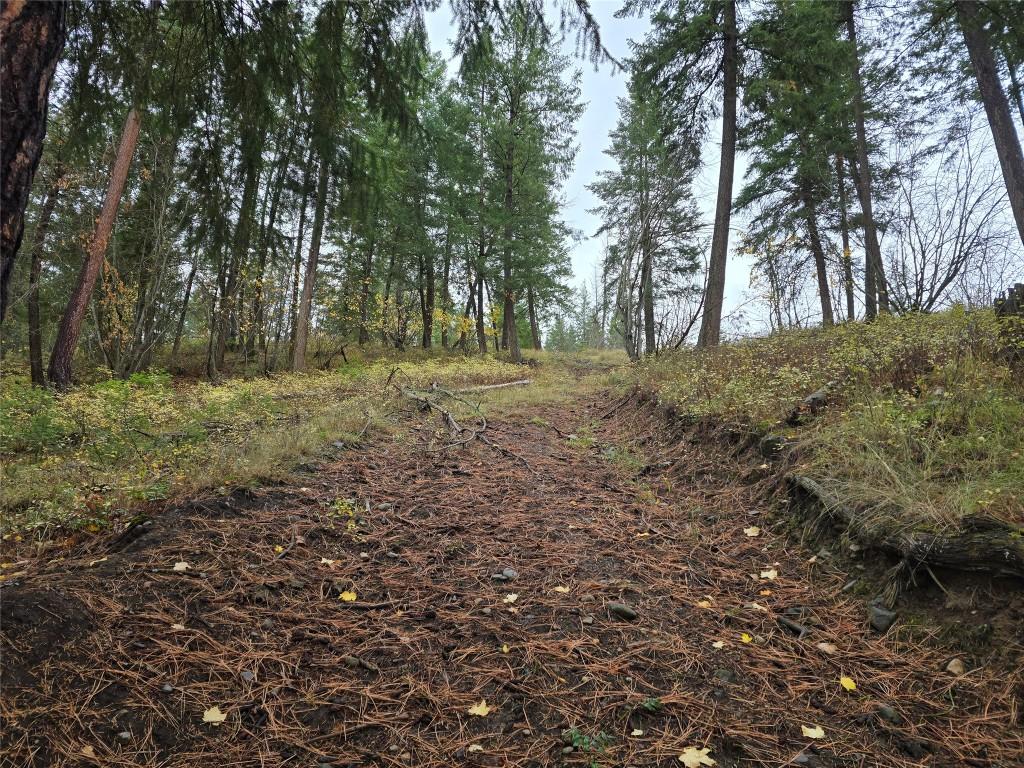 5135 Salmon River Road, Spallumcheen, BC - Outdoor With View