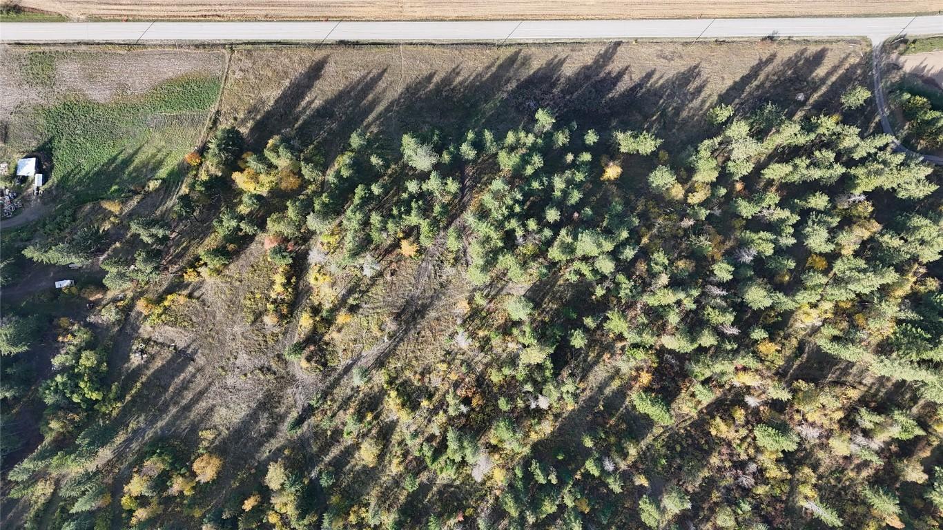 5135 Salmon River Road, Spallumcheen, BC - Outdoor With View