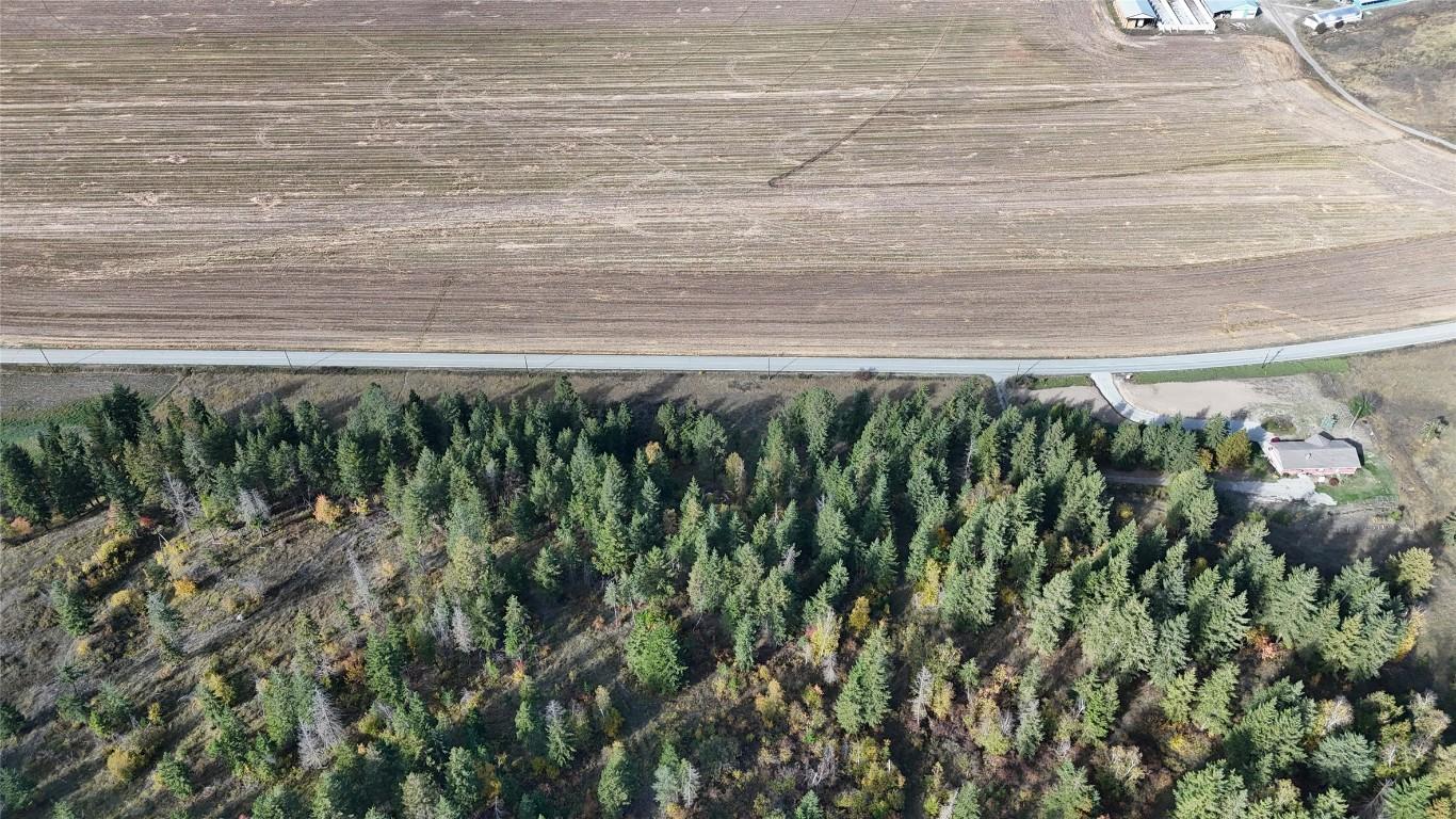 5135 Salmon River Road, Spallumcheen, BC - Outdoor With View