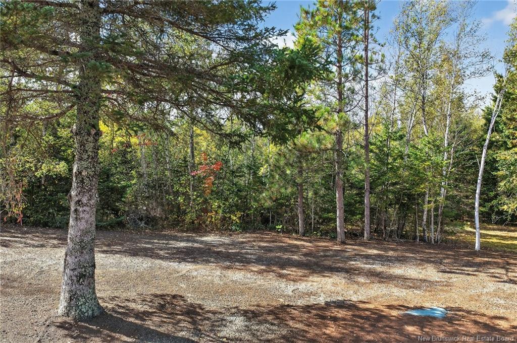 141 Cartier, Shediac, NB