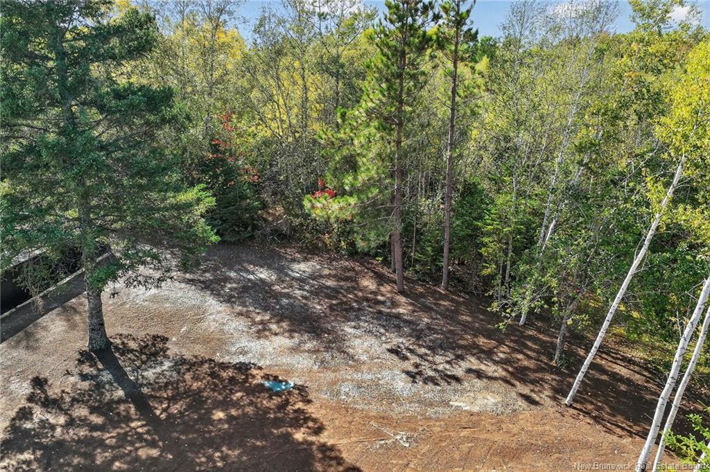 141 Cartier, Shediac, NB