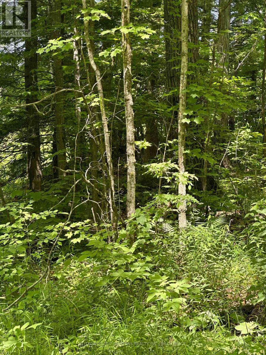 0 Maple Grove Lane E, Frontenac (Frontenac South), ON