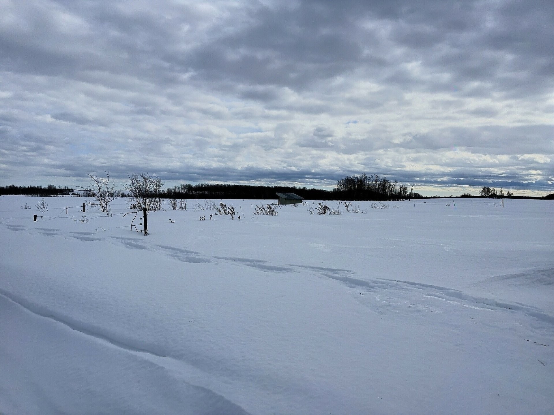 Exterior - 770 Route 111 O., Macamic, QC