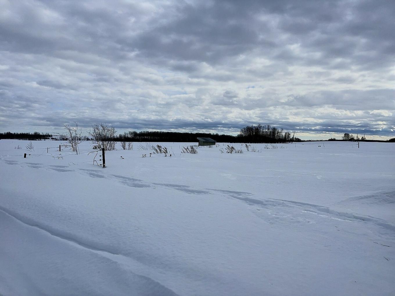 Extérieur - 770 Route 111 O., Macamic, QC