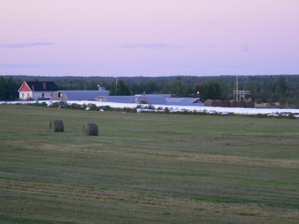 Lot - 770 Route 111 O., Macamic, QC