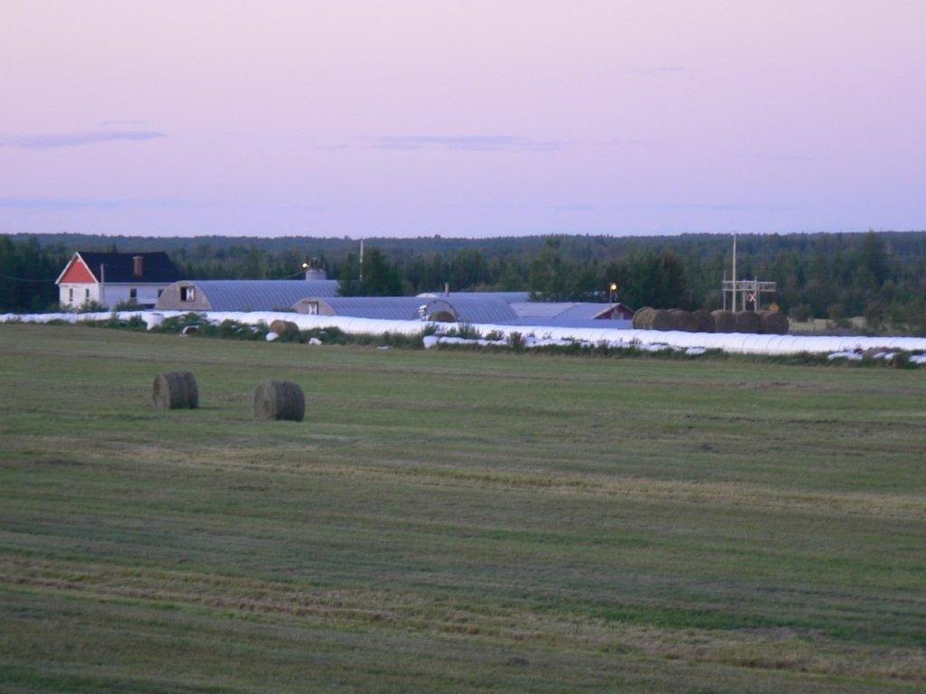 Terre/Terrain - 770 Route 111 O., Macamic, QC