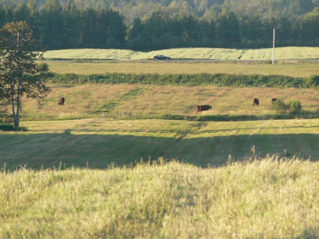 Lot - 770 Route 111 O., Macamic, QC