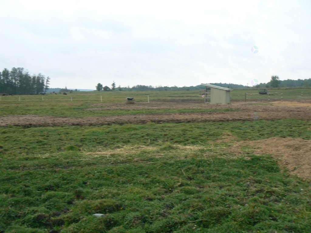 Lot - 770 Route 111 O., Macamic, QC