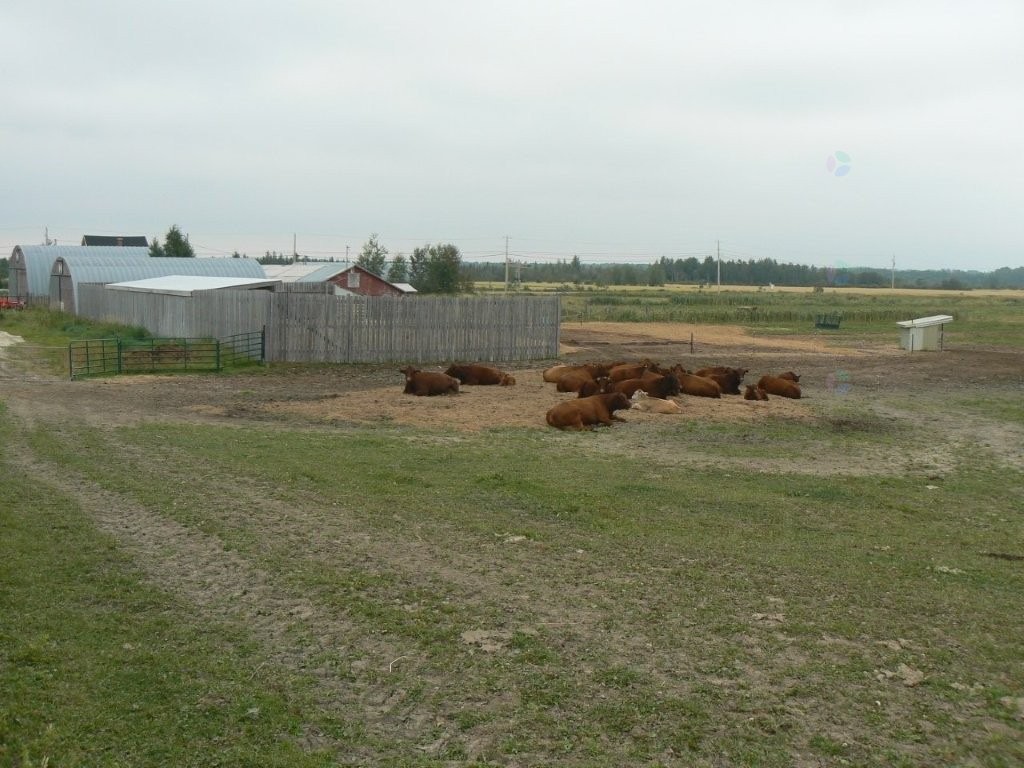 Lot - 770 Route 111 O., Macamic, QC