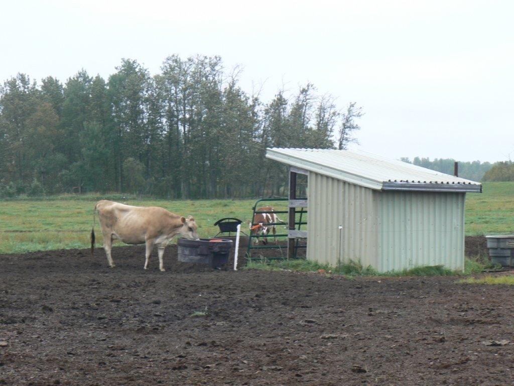 Terre/Terrain - 770 Route 111 O., Macamic, QC