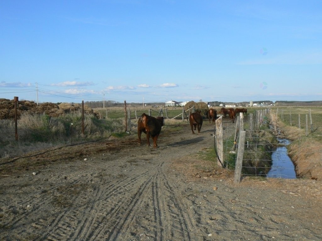 Lot - 770 Route 111 O., Macamic, QC