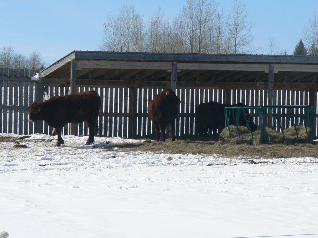 Lot - 770 Route 111 O., Macamic, QC