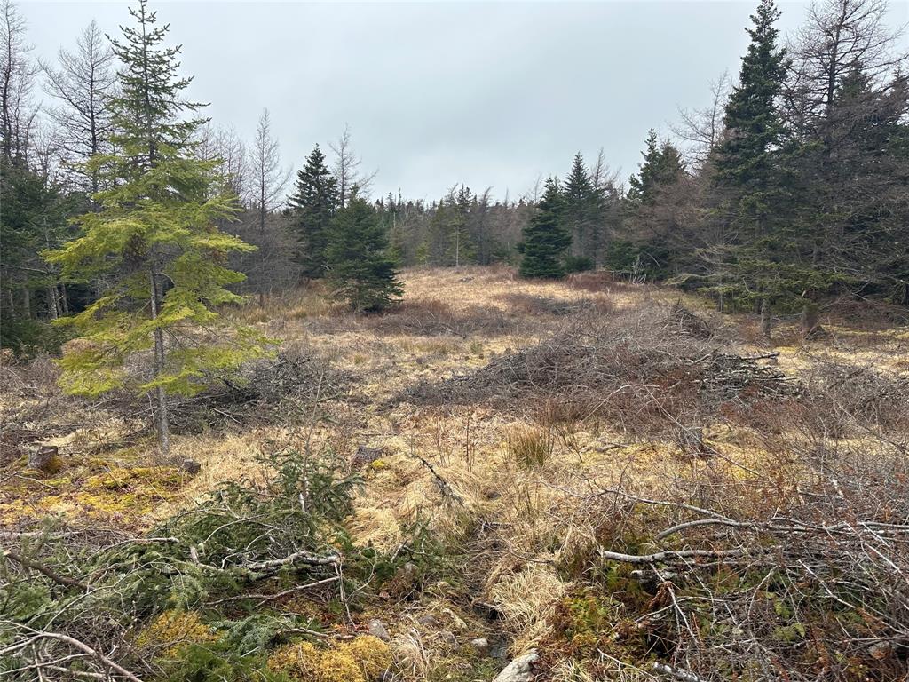 11 North Side Road, Holyrood, NL