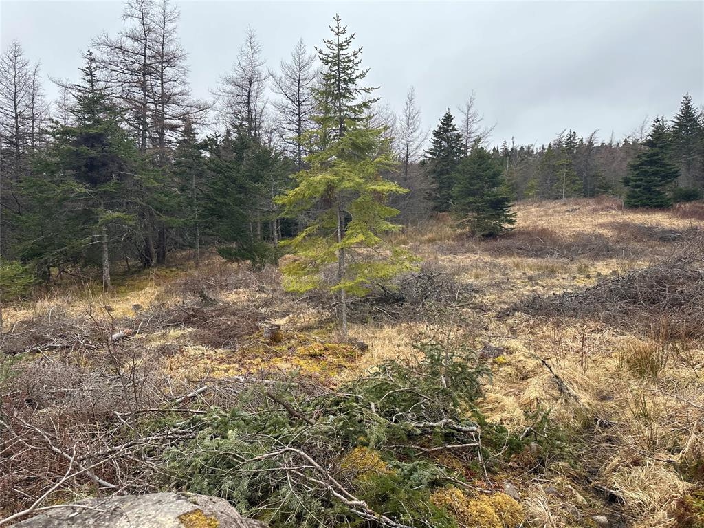 11 North Side Road, Holyrood, NL