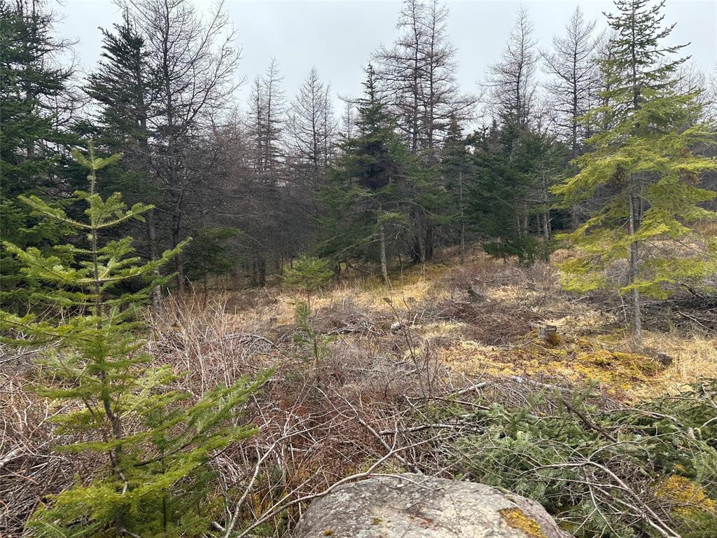 11 North Side Road, Holyrood, NL