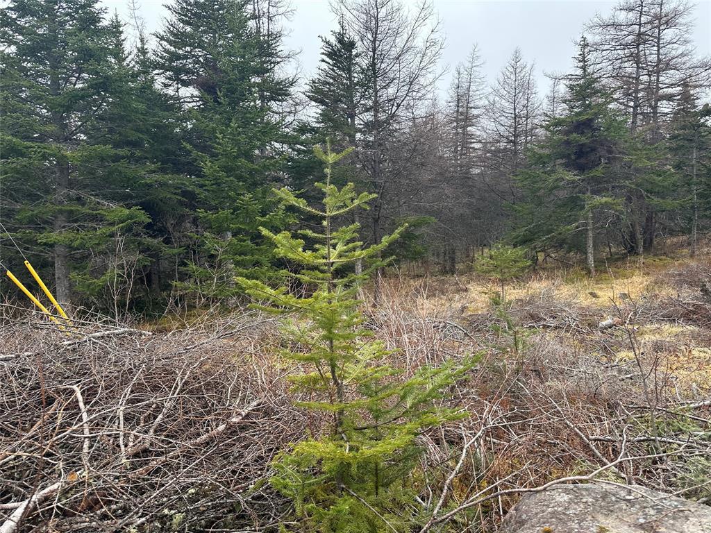 11 North Side Road, Holyrood, NL