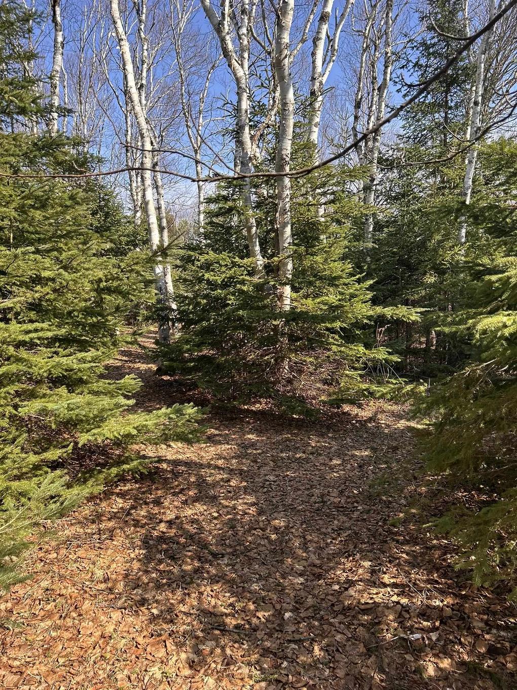 11418 Northside Road, St. Margaret'S, PE