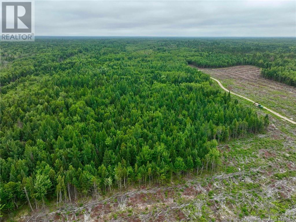 51.4 Hec Route 108, Renous, NB