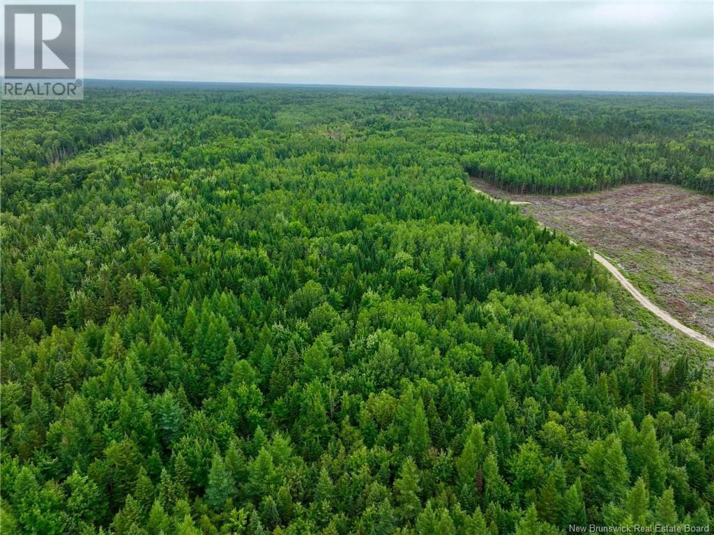 51.4 Hec Route 108, Renous, NB