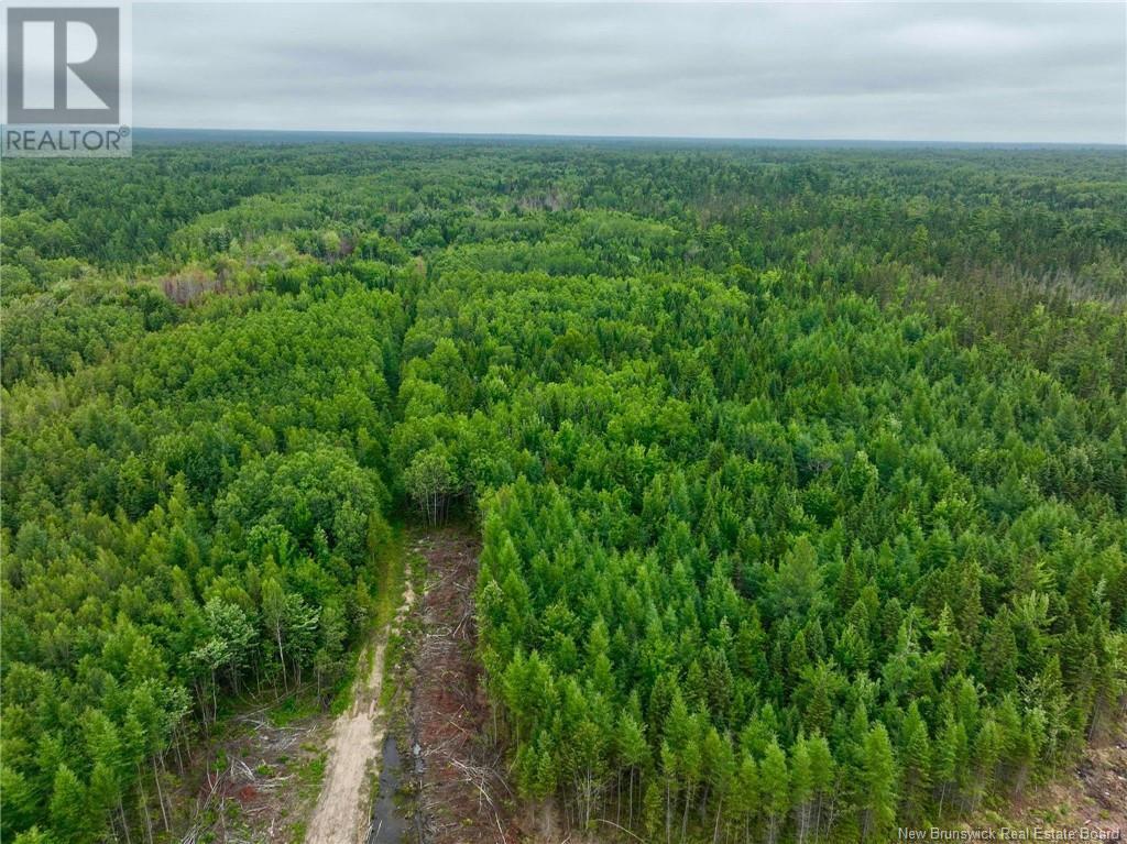 51.4 Hec Route 108, Renous, NB