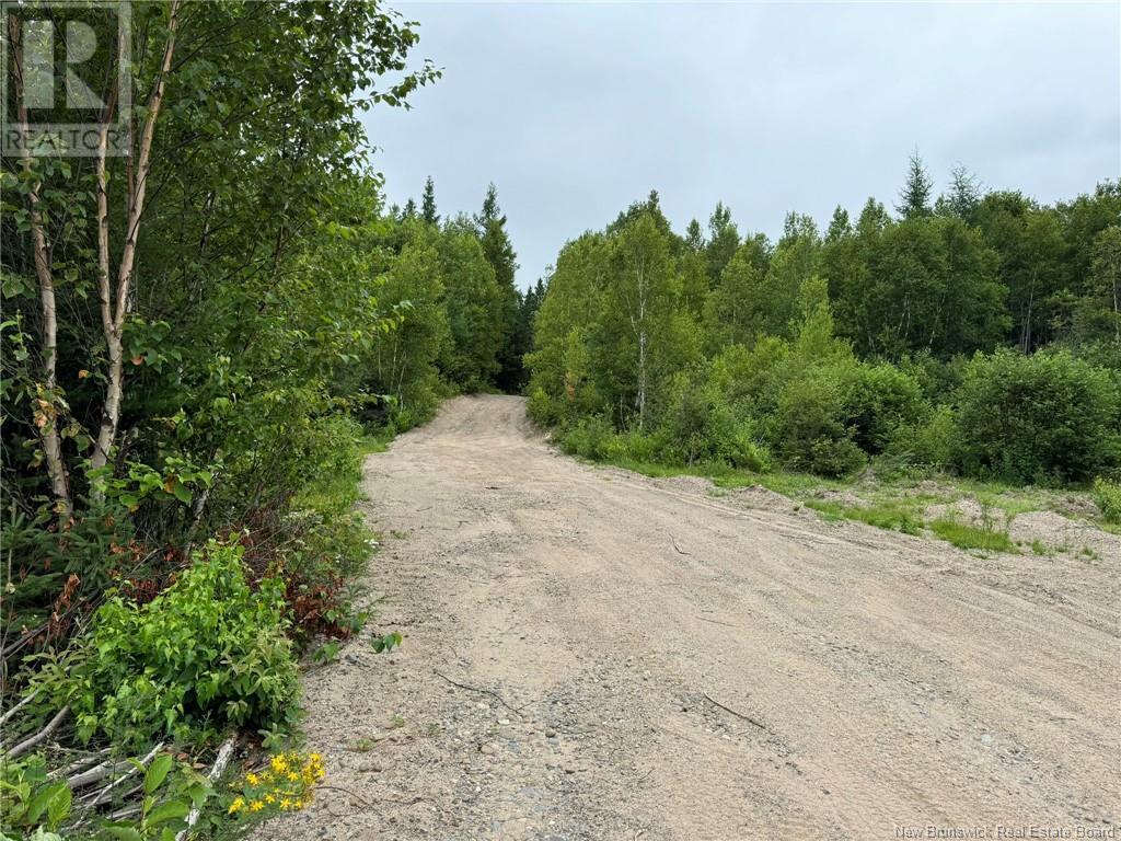 51.4 Hec Route 108, Renous, NB