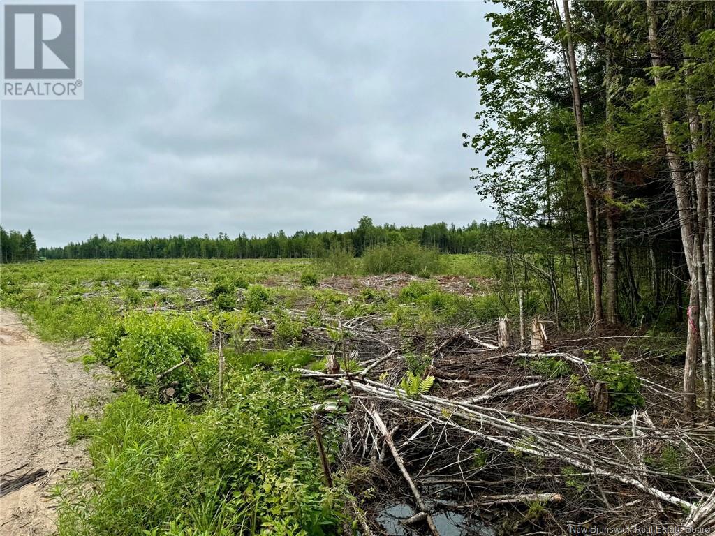 51.4 Hec Route 108, Renous, NB