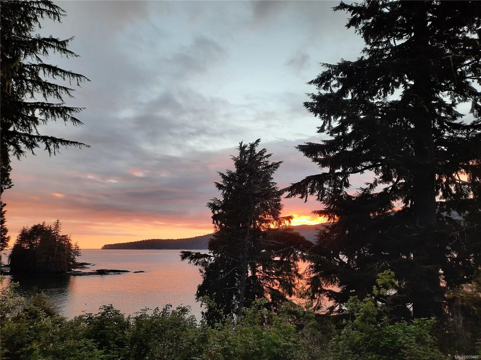 15-6340 Cerantes Rd, Port Renfrew, BC