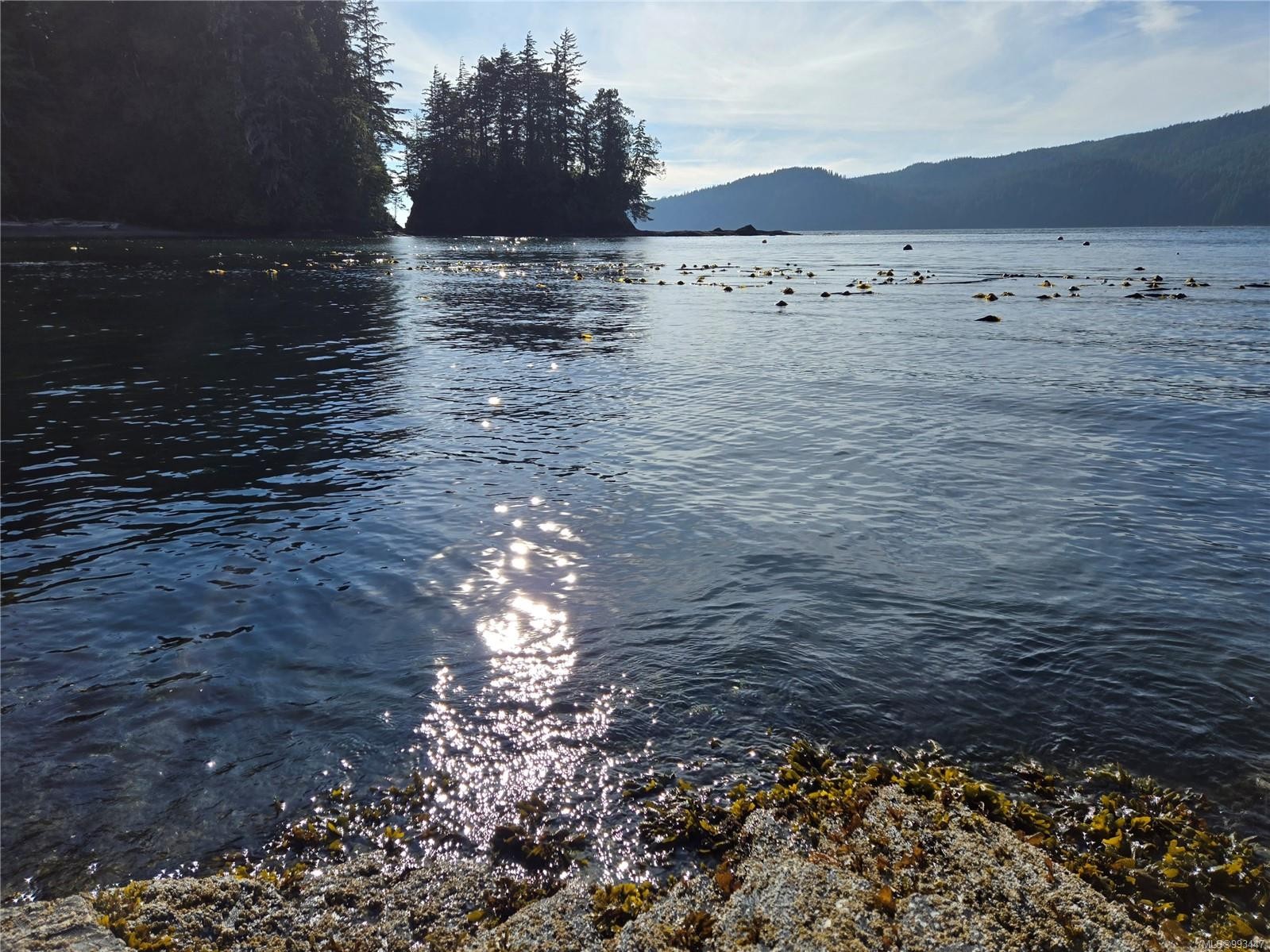 15-6340 Cerantes Rd, Port Renfrew, BC