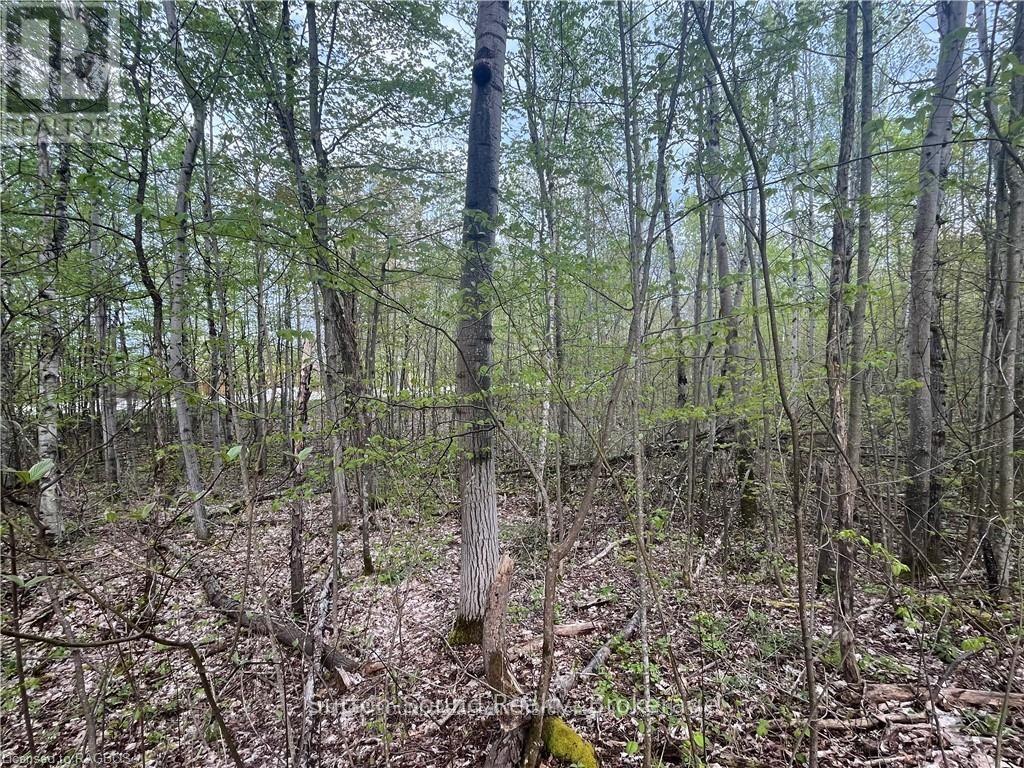 Lot 5 Grey Road 1, Georgian Bluffs, ON