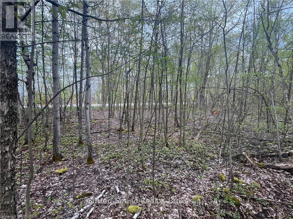 Lot 5 Grey Road 1, Georgian Bluffs, ON