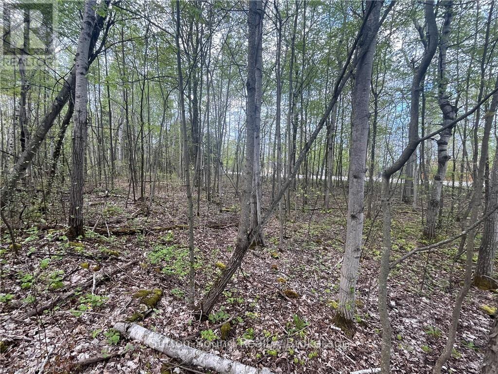 Lot 5 Grey Road 1, Georgian Bluffs, ON