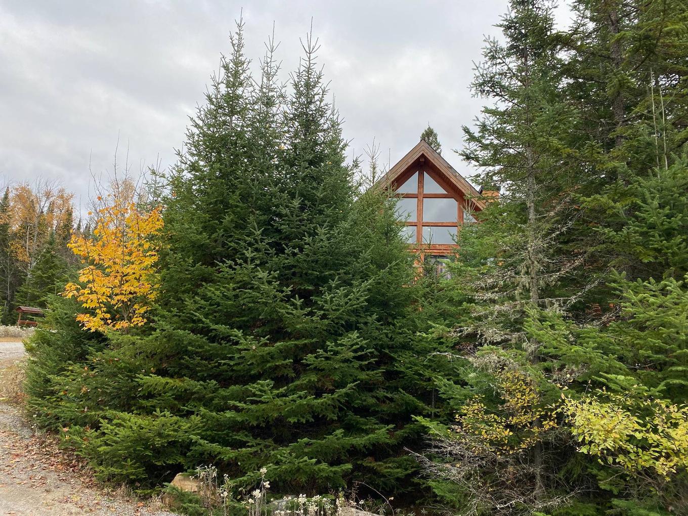 Vue d'ensemble - 25 Ch. Cordélia-Hamelin, Nominingue, QC - Outdoor