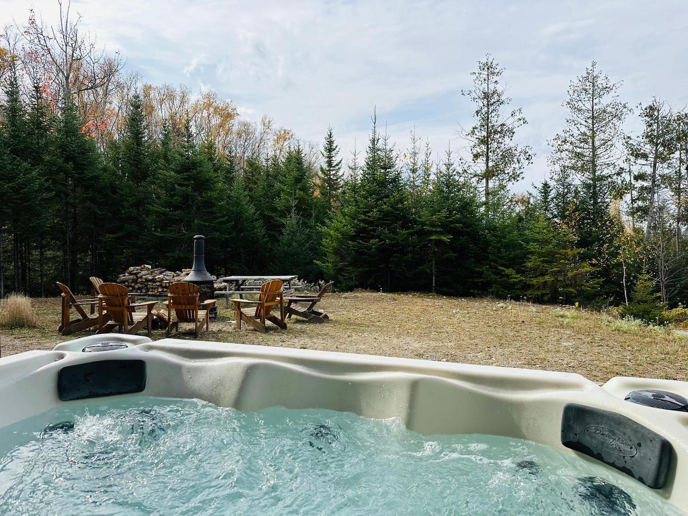 Spa - 25 Ch. Cordélia-Hamelin, Nominingue, QC - Outdoor With Backyard