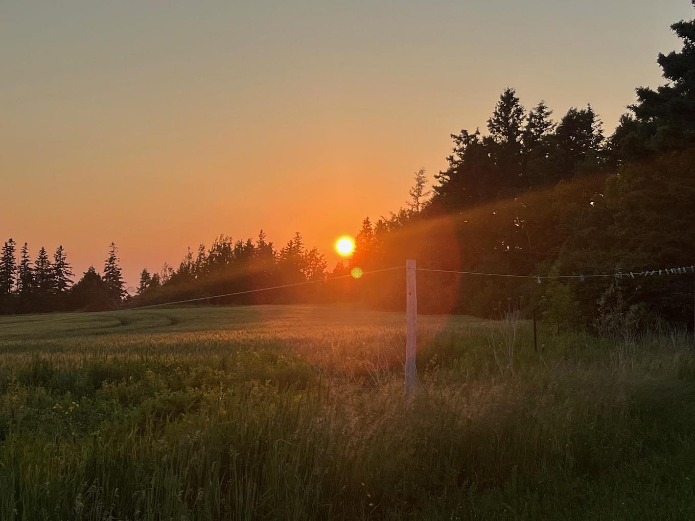 0 Point Prim Road, Mount Buchanan, PE