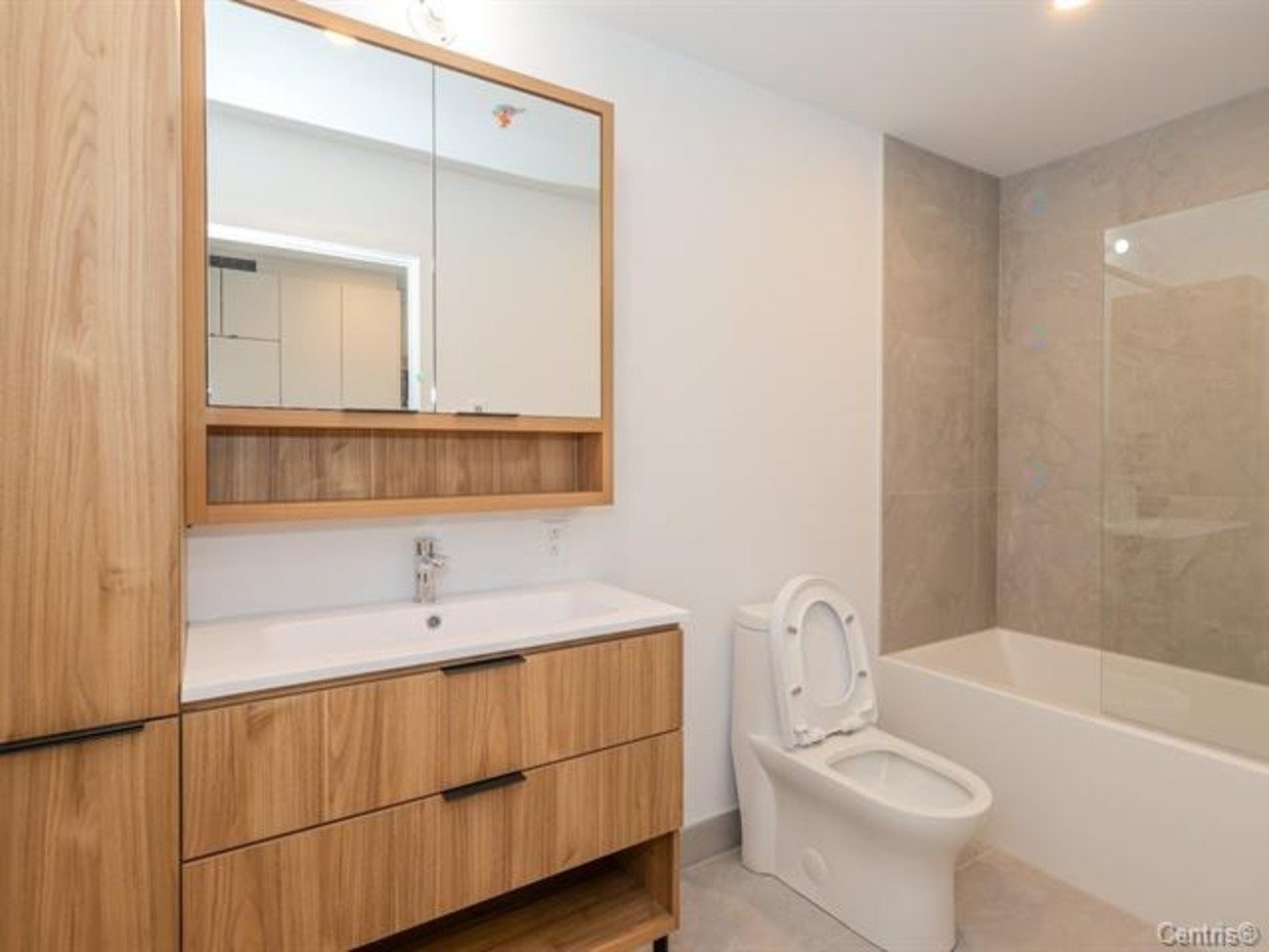 Salle de bains - 409-2660 Rue Ontario E., Montréal (Ville-Marie), QC - Indoor Photo Showing Bathroom