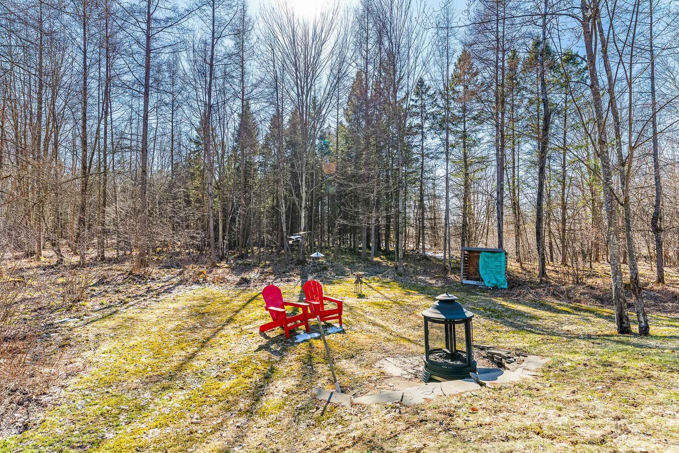 Cour - 60 Rue Hayes, Bromont, QC - Outdoor With View