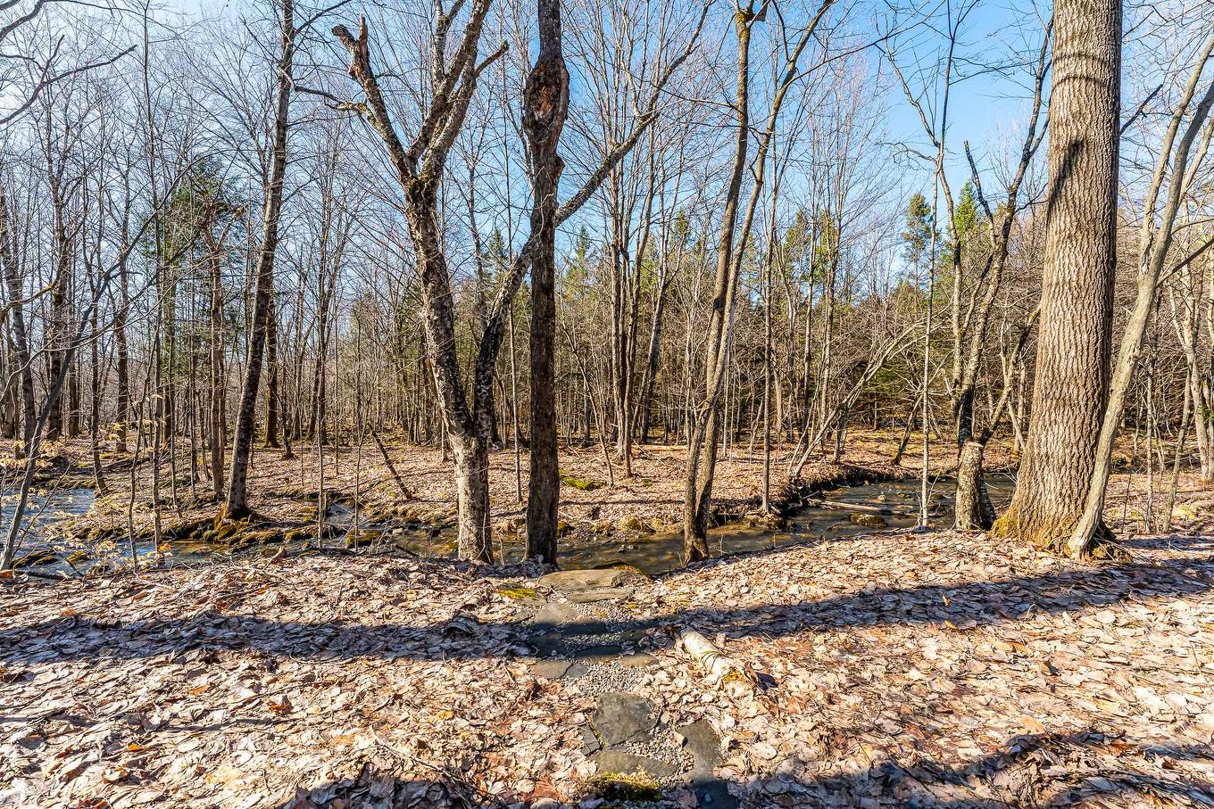 60 Rue Hayes, Bromont, QC - Outdoor With View