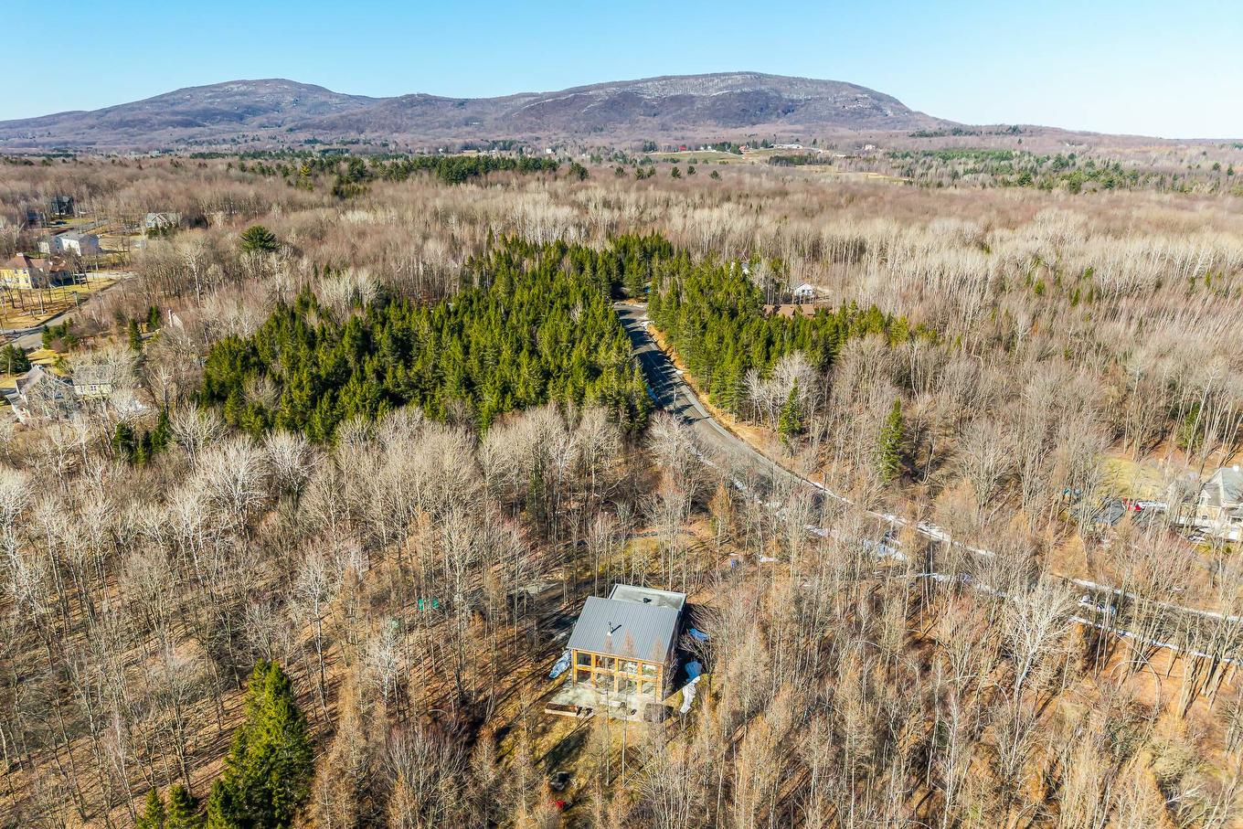 Face arrière - 60 Rue Hayes, Bromont, QC - Outdoor With View