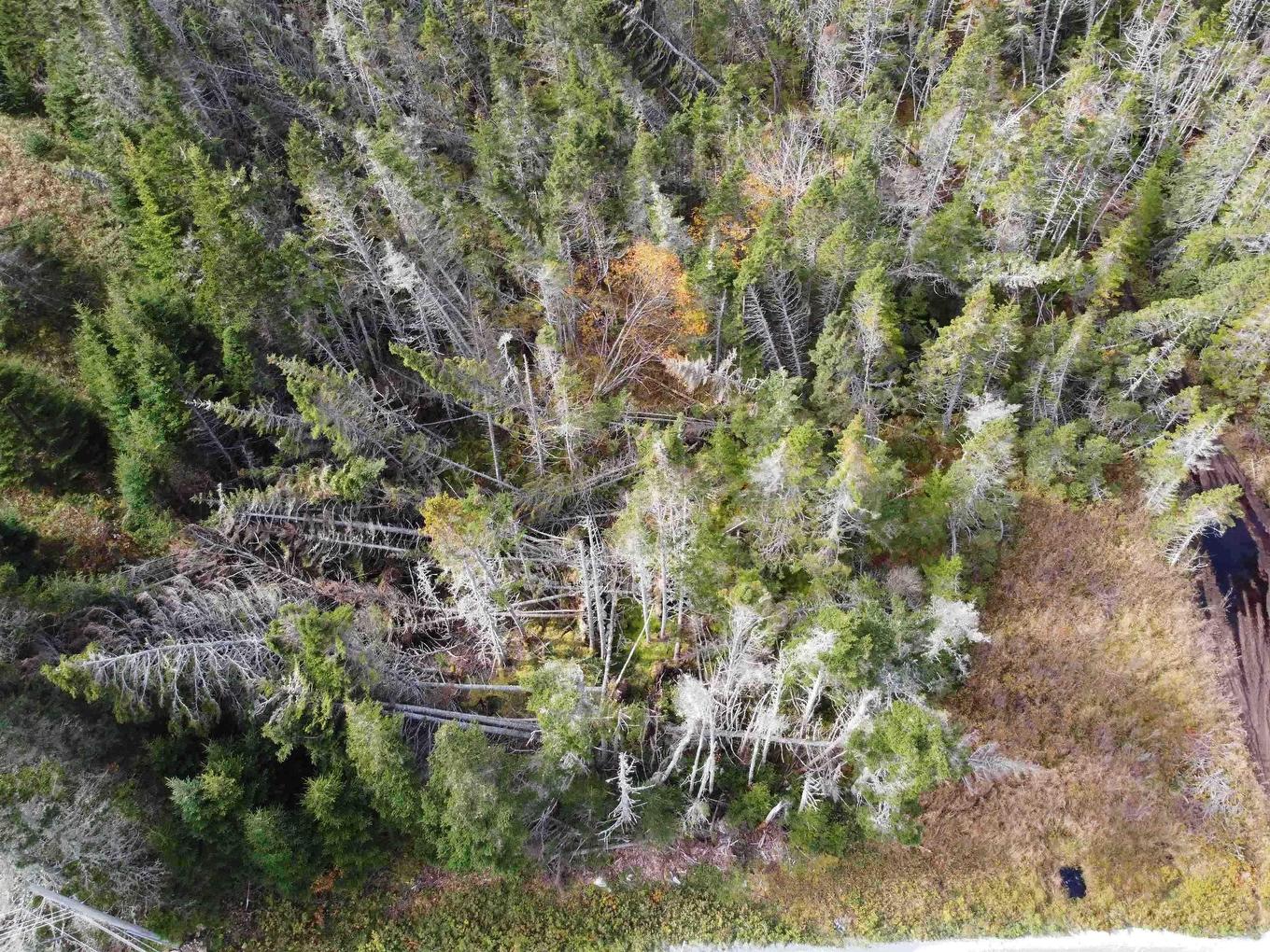 Lot Gammon Road, West Quoddy, NS