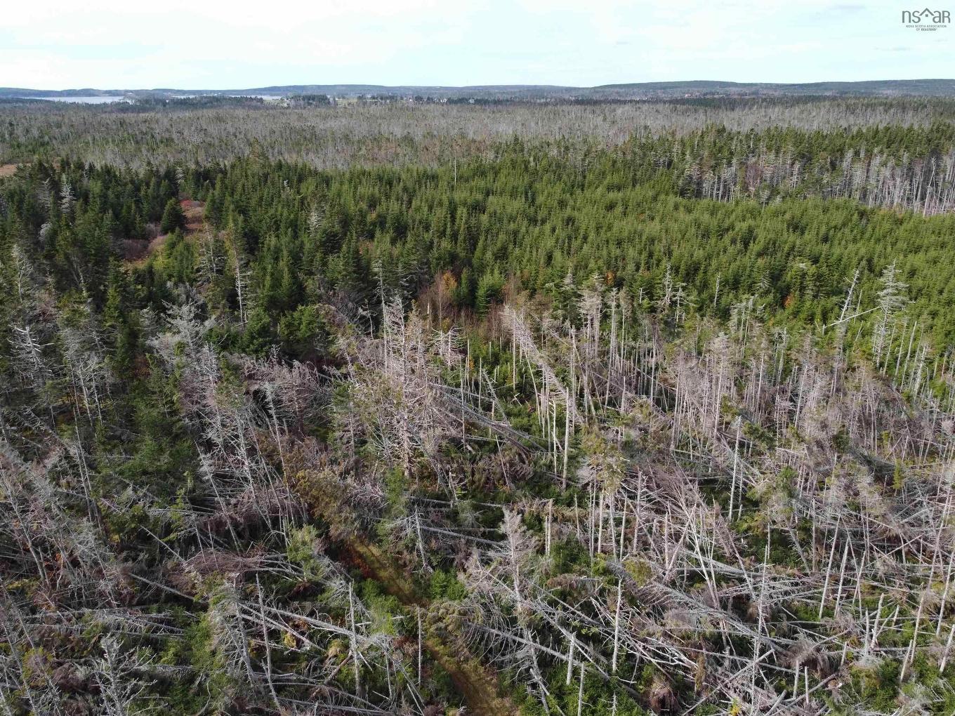 Lot Gammon Road, West Quoddy, NS