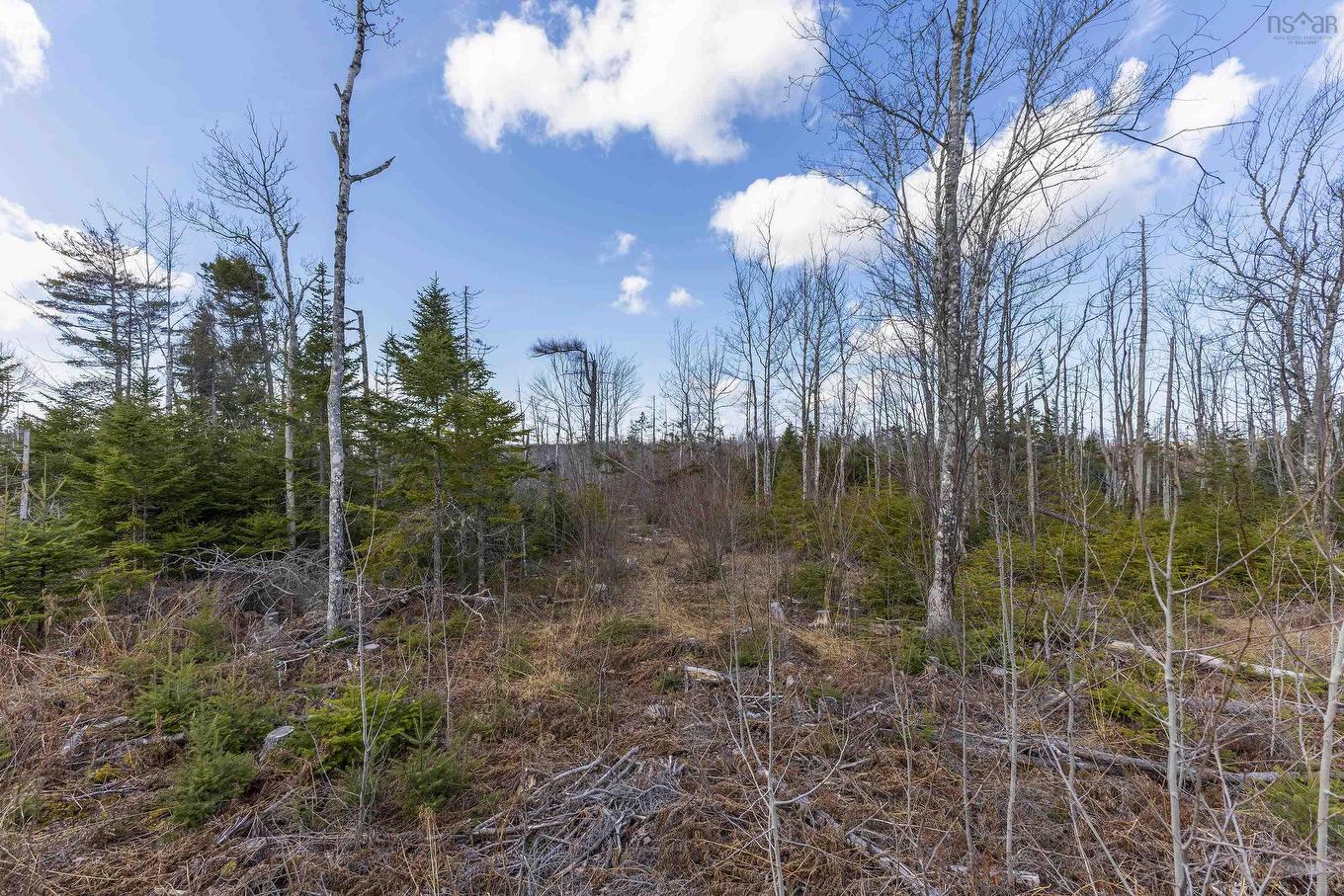 Lots Shore Road, Waterside, NS