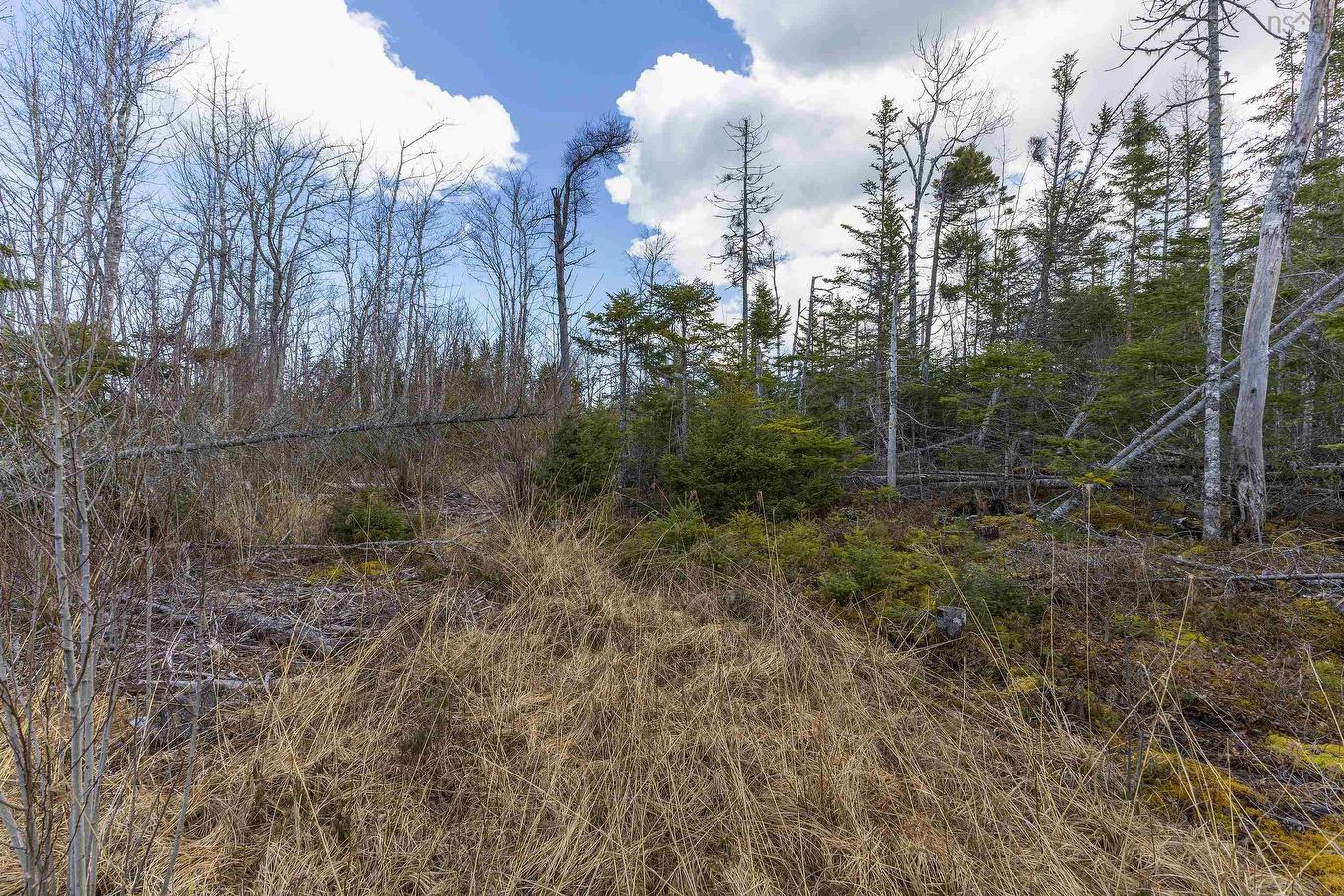 Lots Shore Road, Waterside, NS