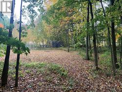 154 BOWLES BLUFF ROAD Grey Highlands, ON N0C 1H0