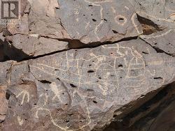 Prehistoric rock engraving on the property -