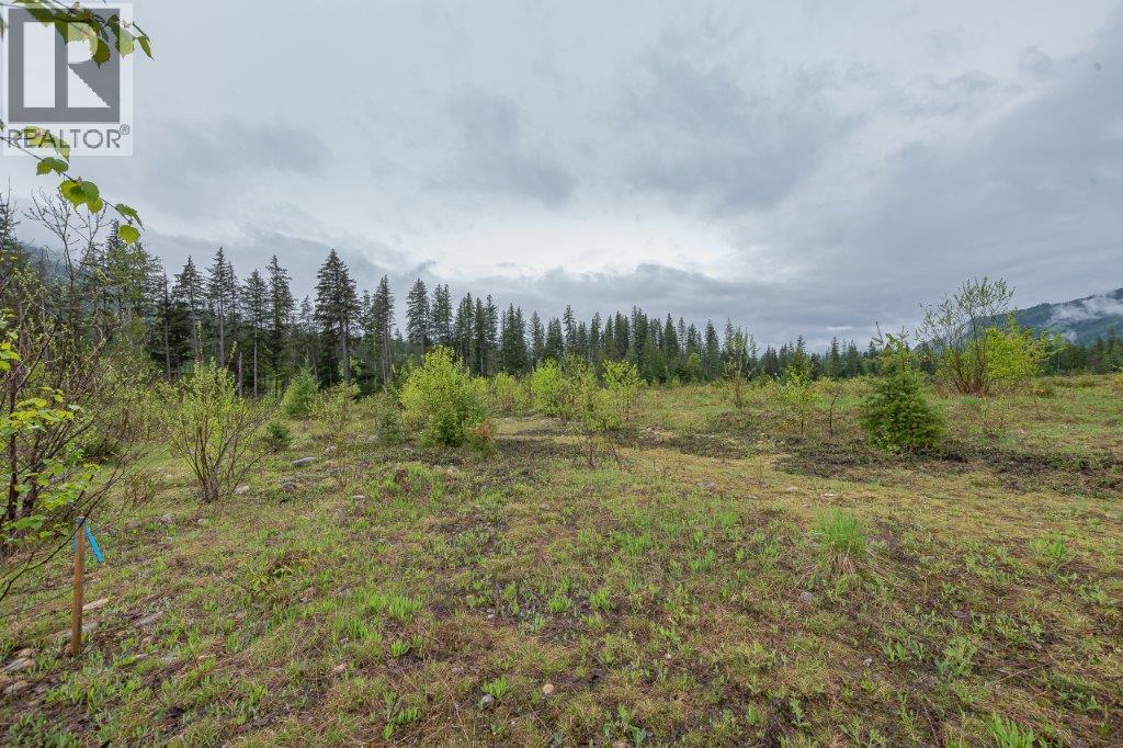 4103 Balsam Way, Malakwa, BC