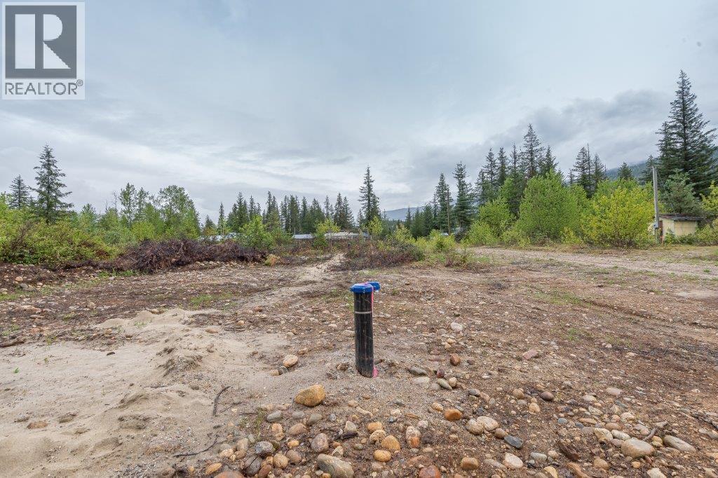 4103 Balsam Way, Malakwa, BC